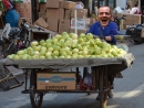 papa
